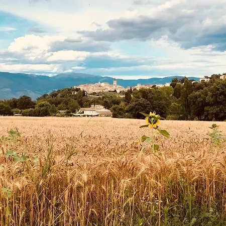 Vicolo Della Sacca